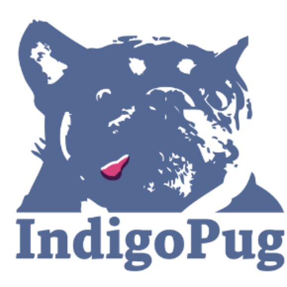 Meet your Posher, Monkee - Picture 7 of 7